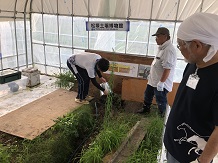 土壌博物館06