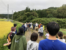 佐須の稲刈り08