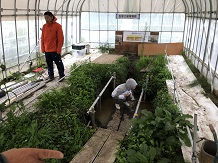 土壌博物館03