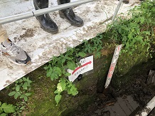 土壌博物館05